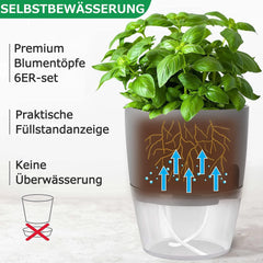 Selbstbewässernder Kräutertopf Set für die Küche, 6-teilig