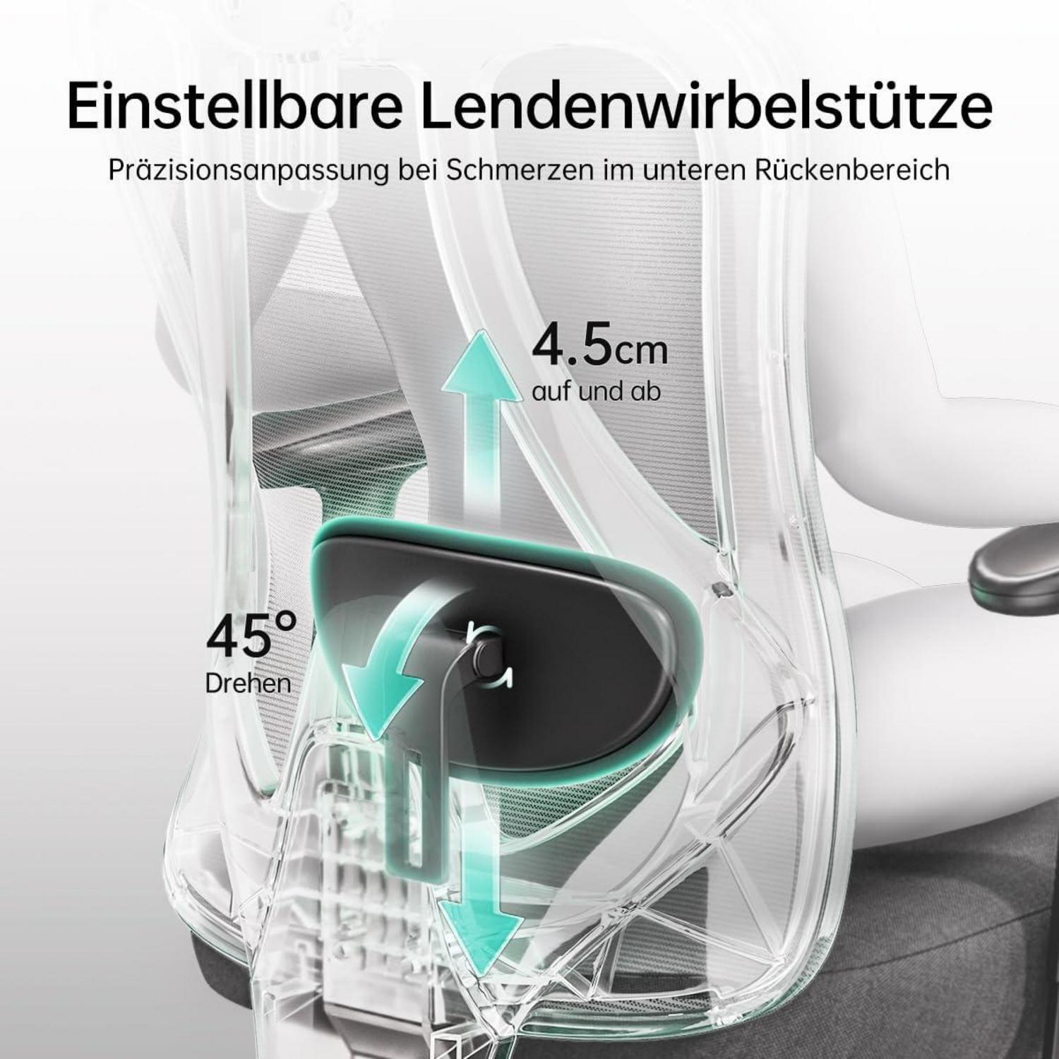 Ergonomischer Bürostuhl mit verstellbarer Kopfstütze und Lordosenstütze, Schwarz