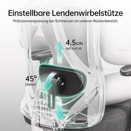 Ergonomischer Bürostuhl mit verstellbarer Kopfstütze und Lordosenstütze, Schwarz