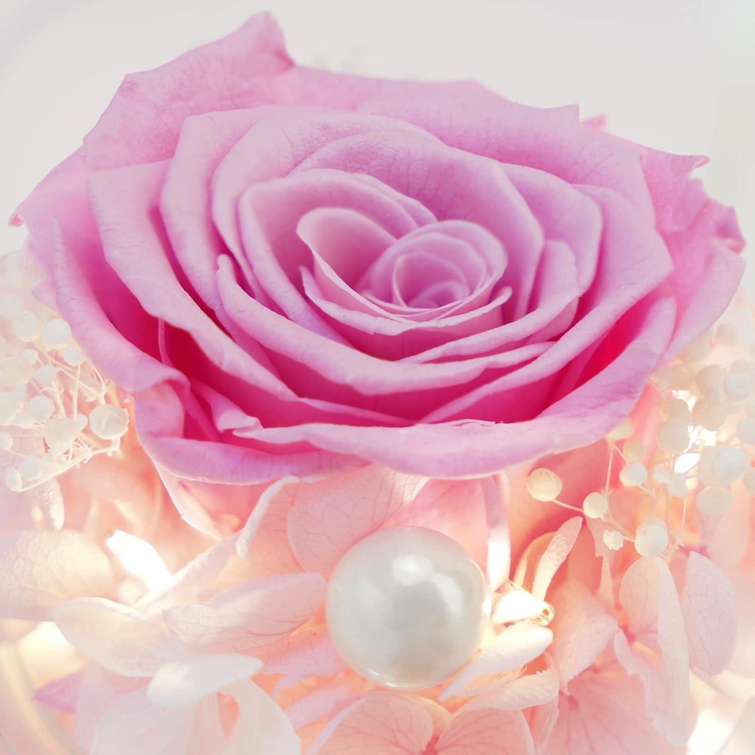 Ewige Rose Engel Glaskuppel LED Licht Valentinstagsgeschenk