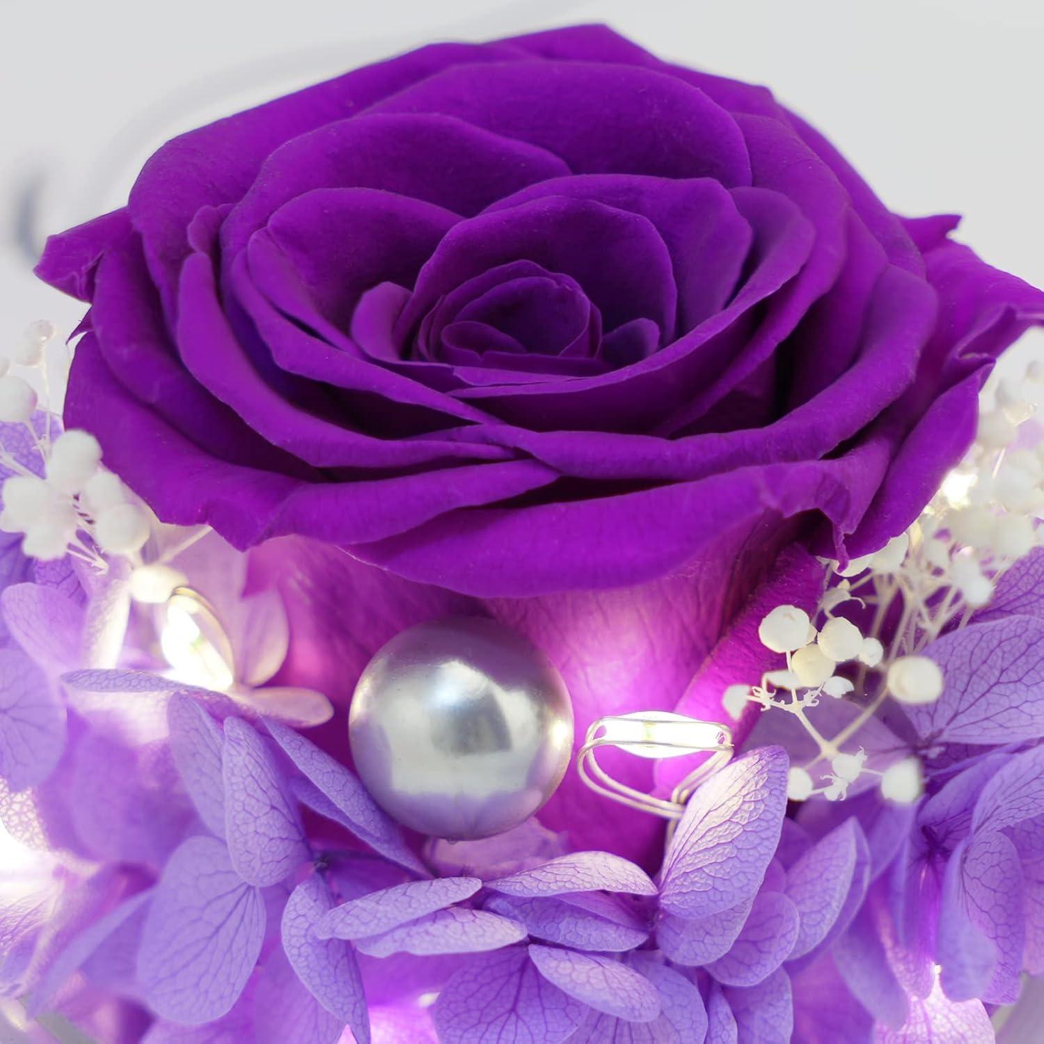 Ewige Rose Engel Geschenkset LED Halskette Violett