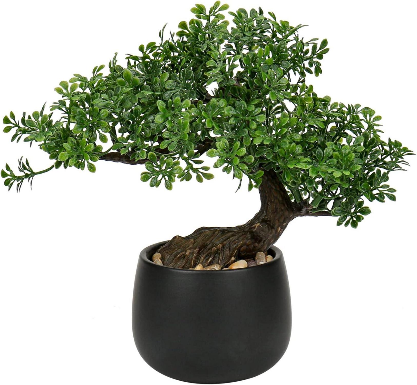 Künstlicher Bonsai Baum Podocarpus im Keramiktopf Schwarz 25cm