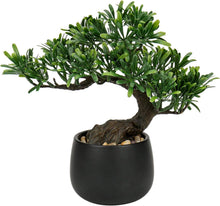 Kunstpflanze Bonsai Baum Podocarpus Künstlich Deko Schwarz-3