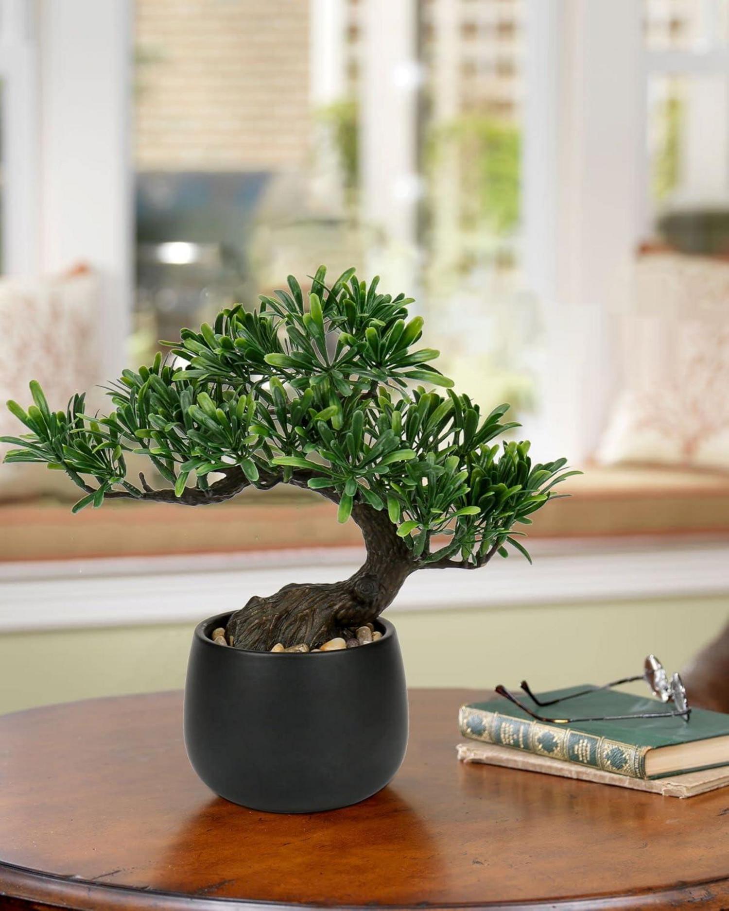 Kunstpflanze Bonsai Baum Podocarpus 25 cm Keramiktopf Schwarz-3