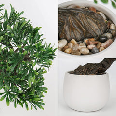 25cm Künstlicher Podocarpus Bonsai Baum in Keramiktopf - Aesthetic