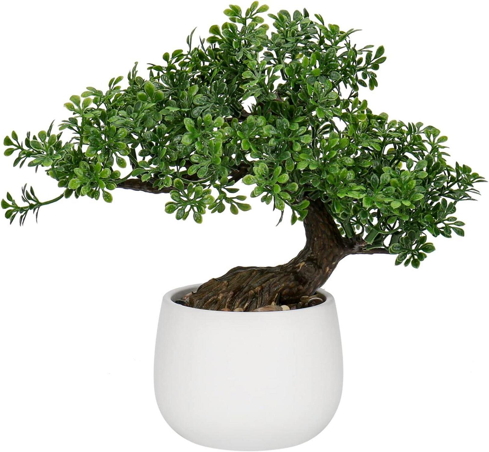 Kunstpflanze Bonsai Baum im Keramiktopf für Wohnzimmer & Schlafzimmer
