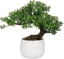 Kunstpflanze Bonsai Baum im Keramiktopf für Wohnzimmer & Schlafzimmer