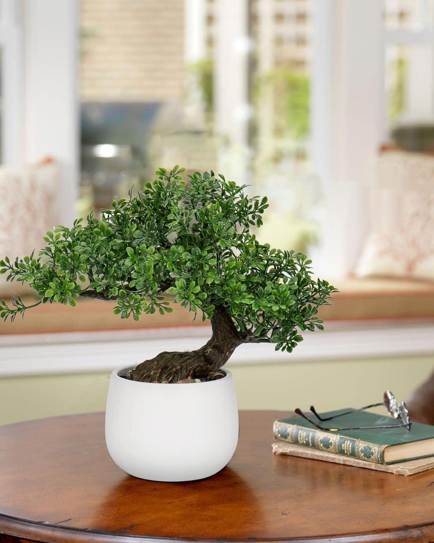 Kunstpflanze Bonsai Baum im Keramiktopf 25 cm Podocarpus Weiß-1