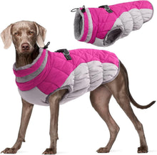 Wasserdichter Hundemantel Winterjacke Fleece Gefüttert Pink
