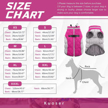 Wasserdichter Hundemantel Winterjacke für kleine bis große