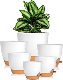 6er-Set Kunststoff Blumentopf mit Untersetzer
