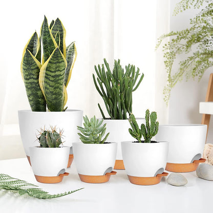 6er-Set Kunststoff Blumentopf mit Untersetzer Selbstbewässerung