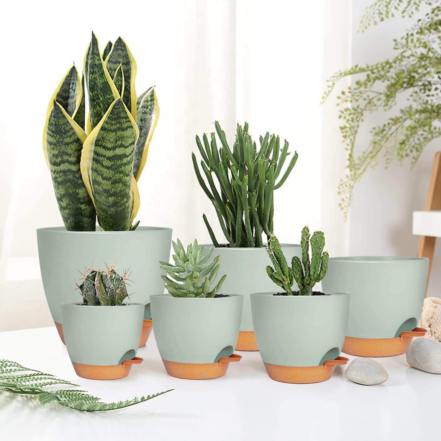 6er-Set Kunststoff Blumentopf mit Untersetzer, Selbstbewässerung, Grün