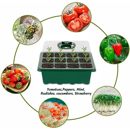 Gewächshaus Klein Indoor Gewächshaus 3 Stück Anzucht Set