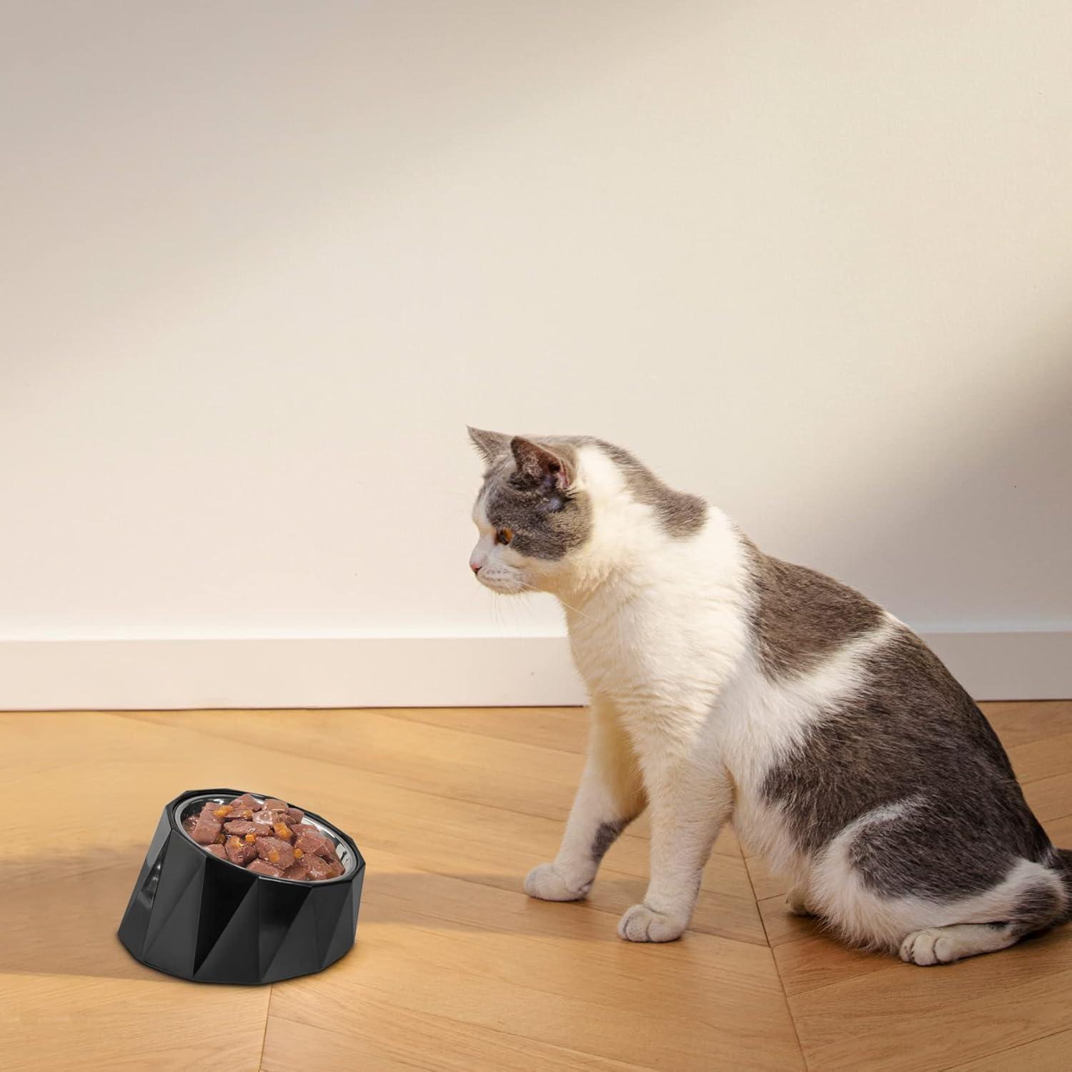 Hundenapf 15 Grad Neigung 470ml Erhöhter Futternapf für Hund und Katze Schwarz