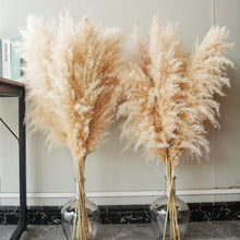 10er Set Pampas Grass XXL Trockenblumen Deko 100cm