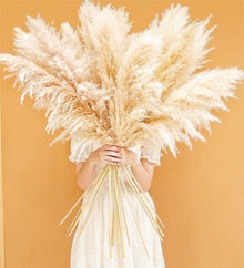 10er Set Pampas Grass XXL Deko für Wohnzimmer, Hochzeit, Bad