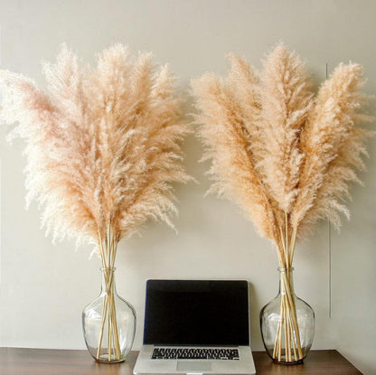 10er Set Pampas Grass XXL (100cm) für Boho Deko - Trockenblumenstrauß Riesen Pampas Grass Deko