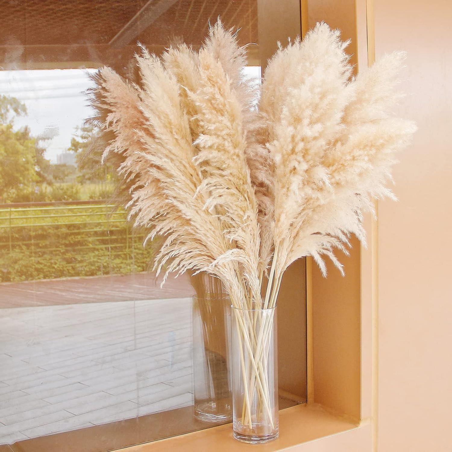 Pampas Grass XXL Trockenblumenstrauß Set 10 Stück 100cm - Deko Wohnzimmer