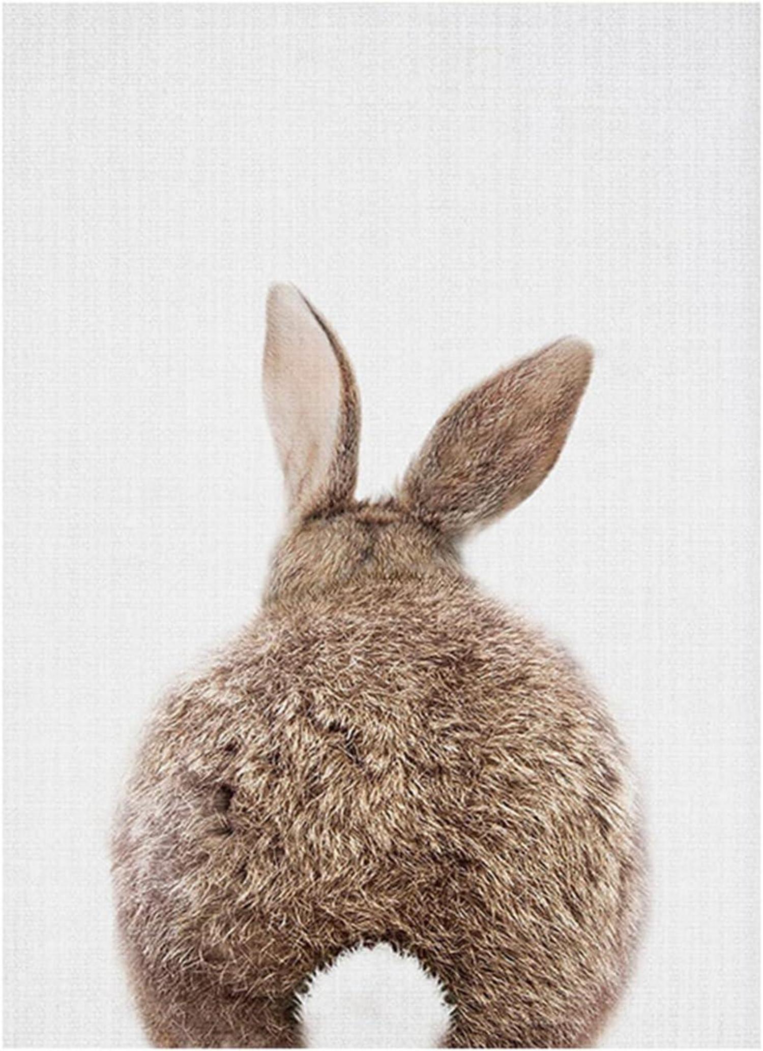 Bilder Kinderzimmer Set Premium Kaninchen Poster Wandbilder Mädchen