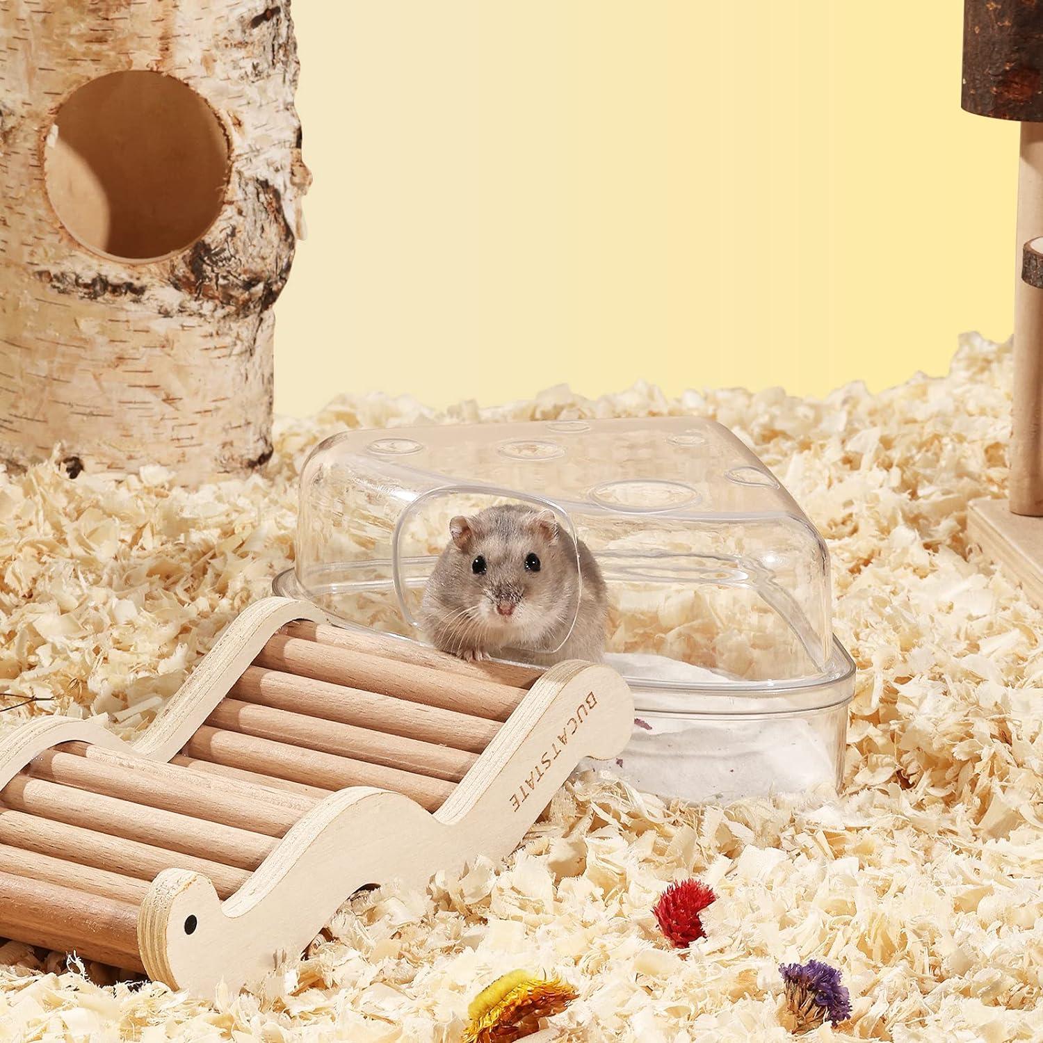Hamster Sand Bath Sandpit Container Chinchilla Gerbil Small