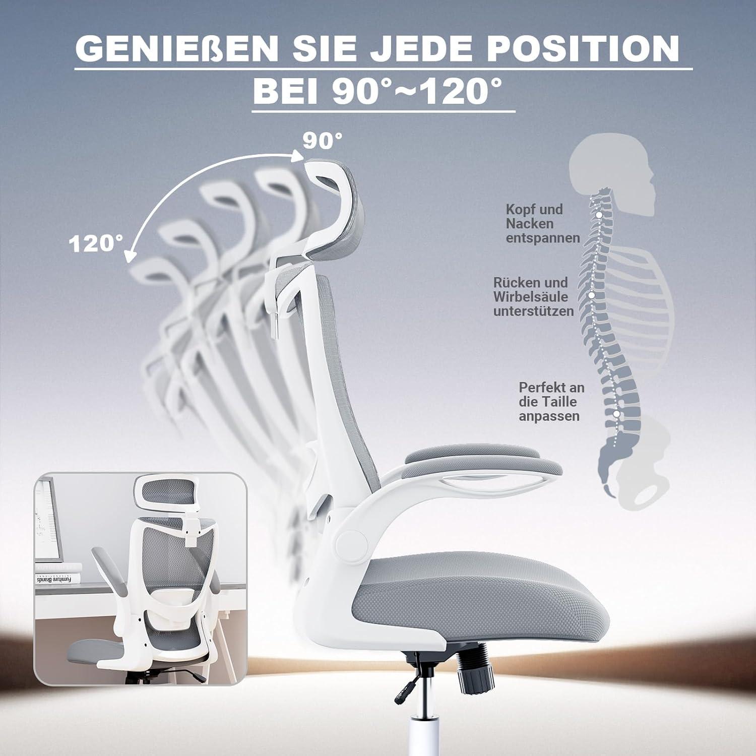 Ergonomischer Bürostuhl mit Kopfstütze und Lordosenstütze-Mesh-Grau