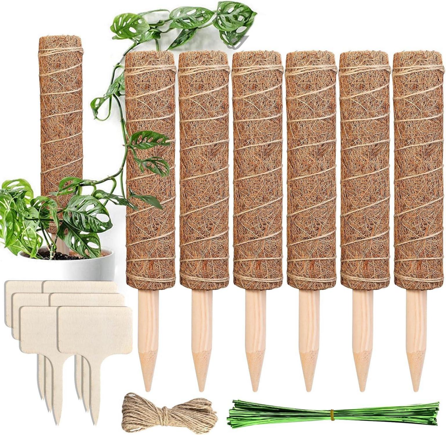 Monstera Rankhilfe 6 Stück Pflanzstäbe Kokos Moosstab 30 cm