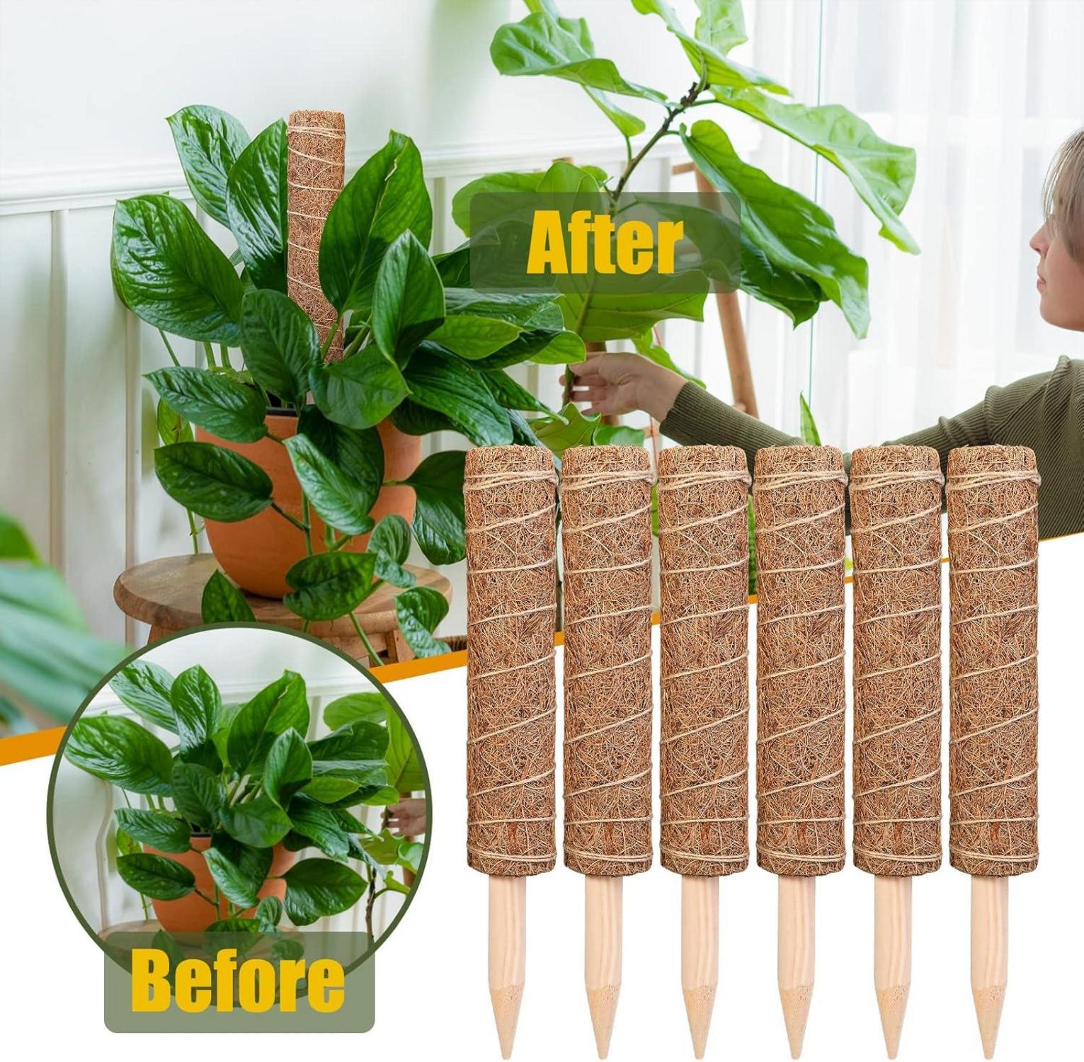 Monstera Rankhilfe 6 Stück Kokos Moosstab Pflanzstäbe 30 cm