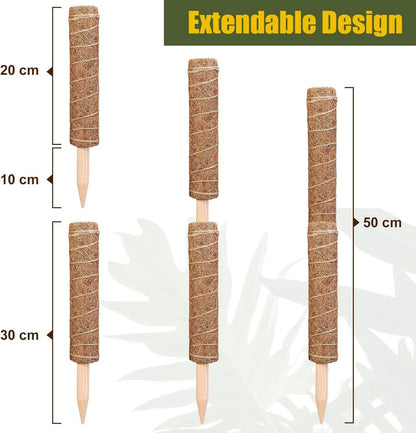 Monstera Rankhilfe 6 Stück Pflanzstäbe Kokos Moosstab 30 cm
