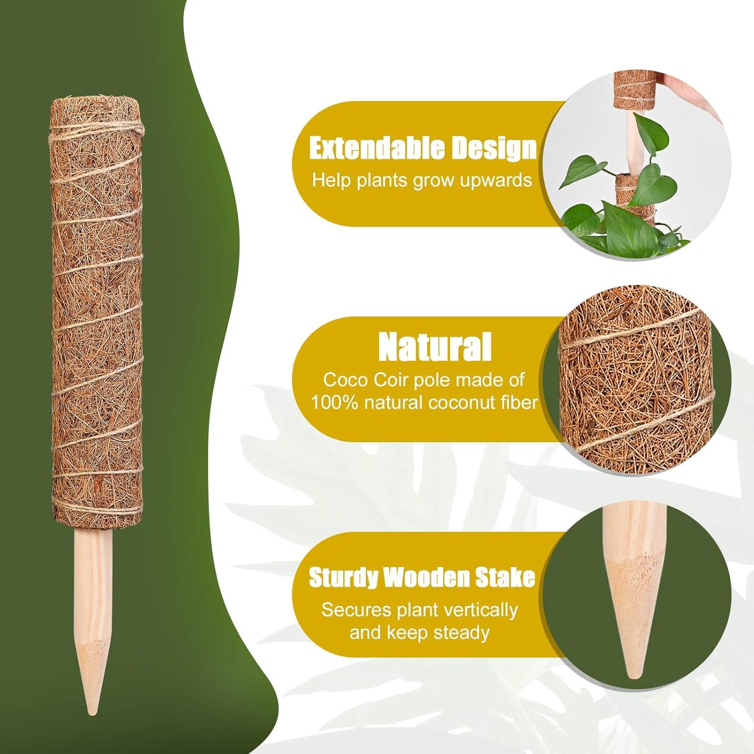 Monstera Rankhilfe 6er Set 30 cm Kokos Moosstäbe Pflanzenstütze