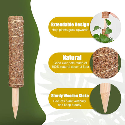 Monstera Rankhilfe 6er Set 30 cm Kokos Moosstäbe Pflanzenstütze
