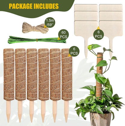 Monstera Rankhilfe 6er Set 30 cm Kokos Moosstäbe Pflanzenstütze