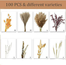 100 Stück Natürliches Pampasgras Set für Deko und Basteln