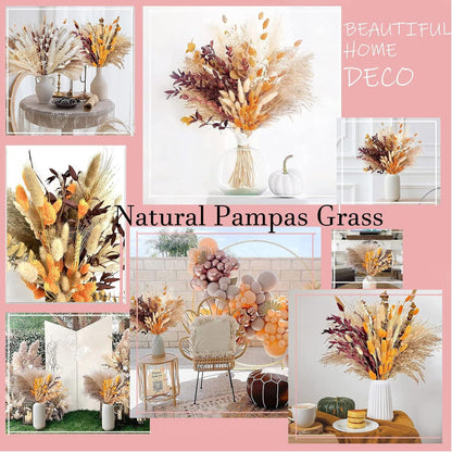 100 Stück Natürliches Pampasgras Set für Deko und Basteln