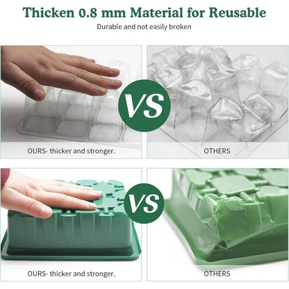 XL Zimmergewächshaus mit Pflanzenlampen 80 Zellen Anzuchtset