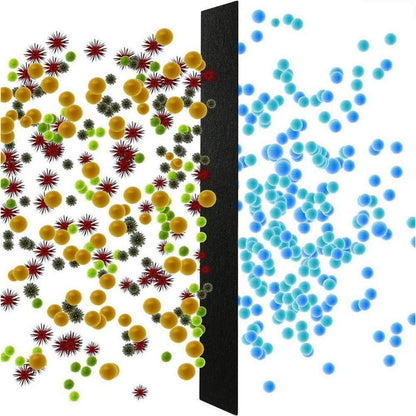 Kohle Geruchsfilter für Katzentoilette, Küche | Aktivkohle