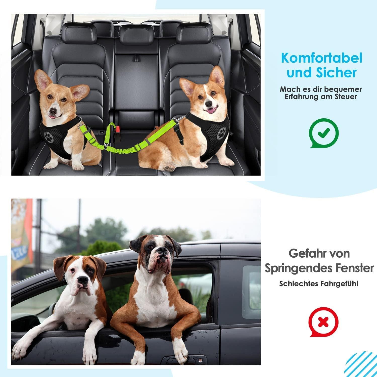 Anschnallgurt Hund Auto verhedderungsfrei elastisch
