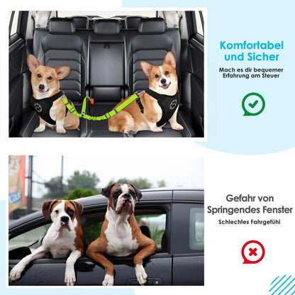 Anschnallgurt Hund Auto verhedderungsfrei elastisch