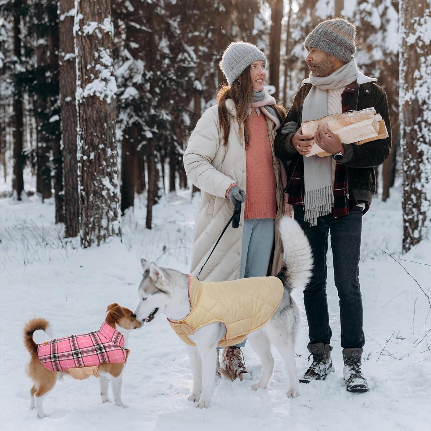 Hundemantel Winter Wasserdicht Fleece Kariert
