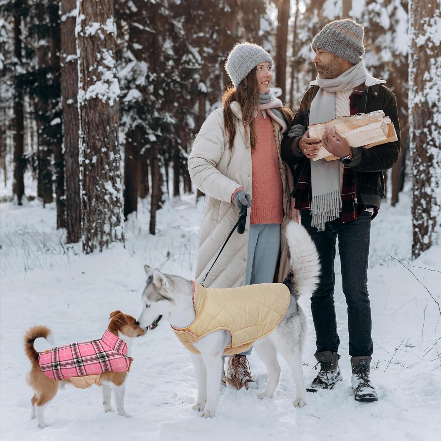 Hundemantel Winter, Hundejacke Kleine Hunde Fleece Wasserdicht XS Rosa