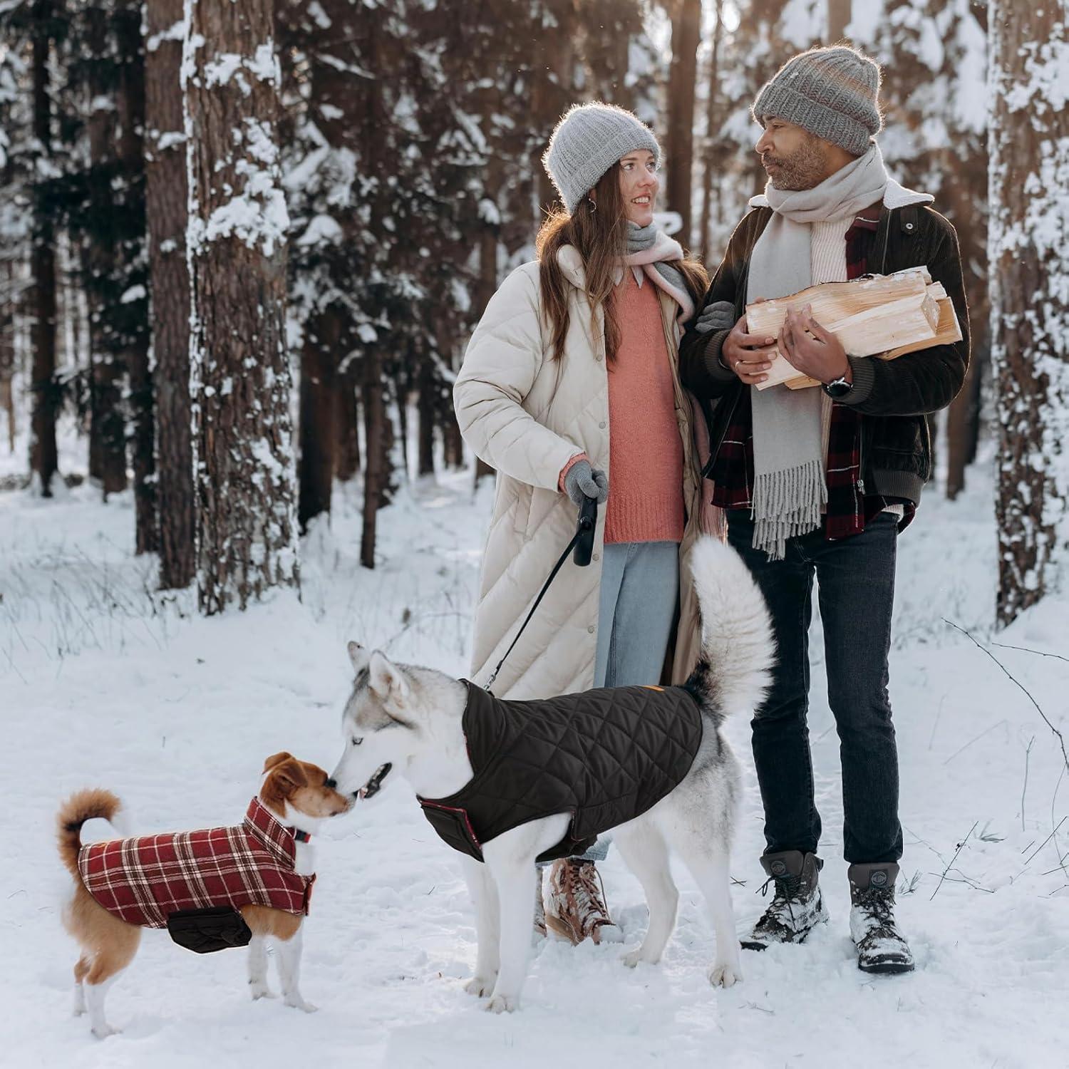 Hundemantel Winter Fleece Wasserdicht Outdoor mit Geschirr