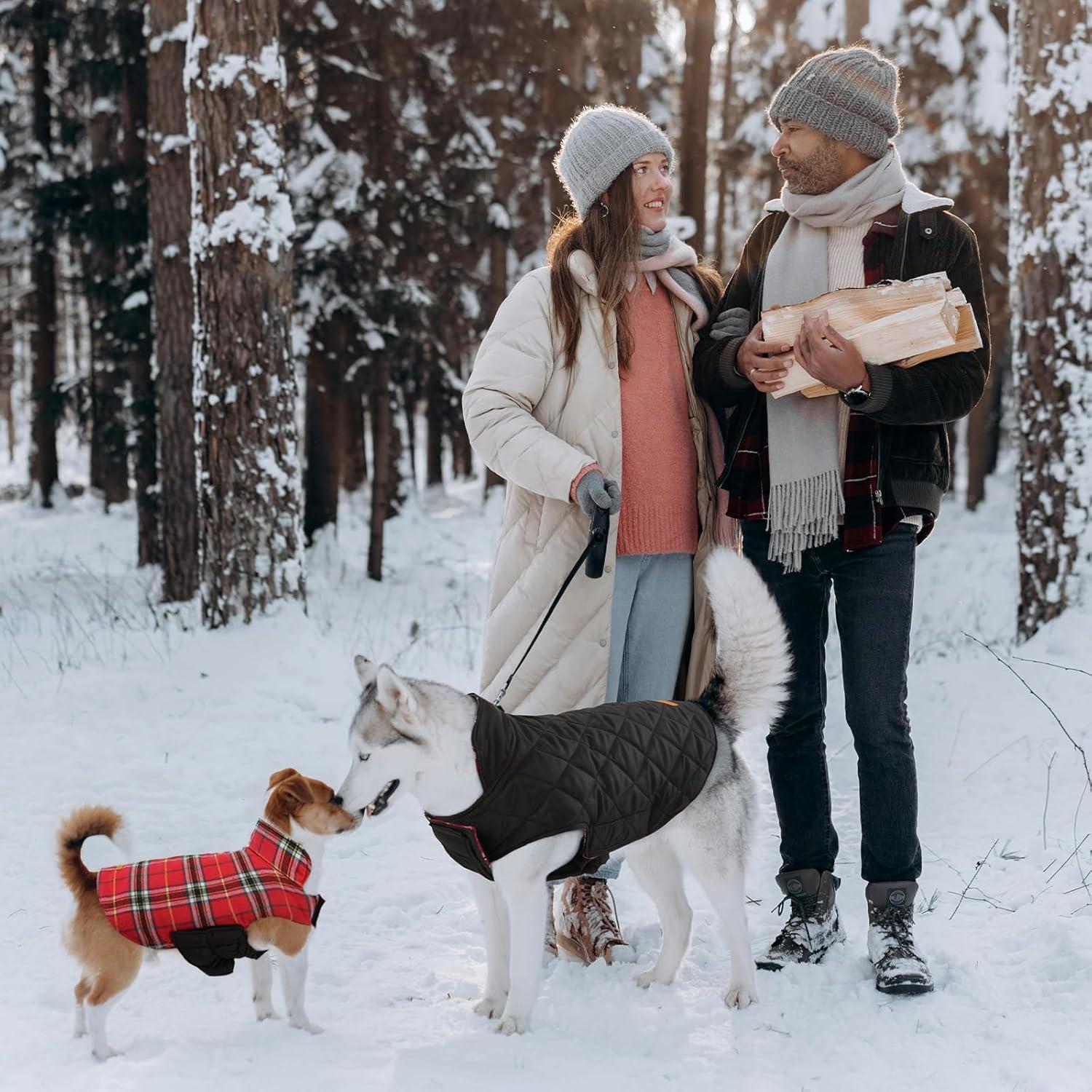 Hundemantel Winter, Hundejacke Kleine Hunde Fleece Warm Wasserdicht XS
