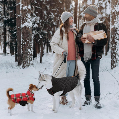 Hundemantel Winter, Hundejacke Kleine Hunde Fleece Warm Wasserdicht XS