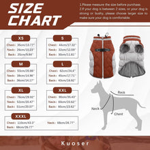 Wasserdichter Hundemantel Winterjacke für kleine Hund