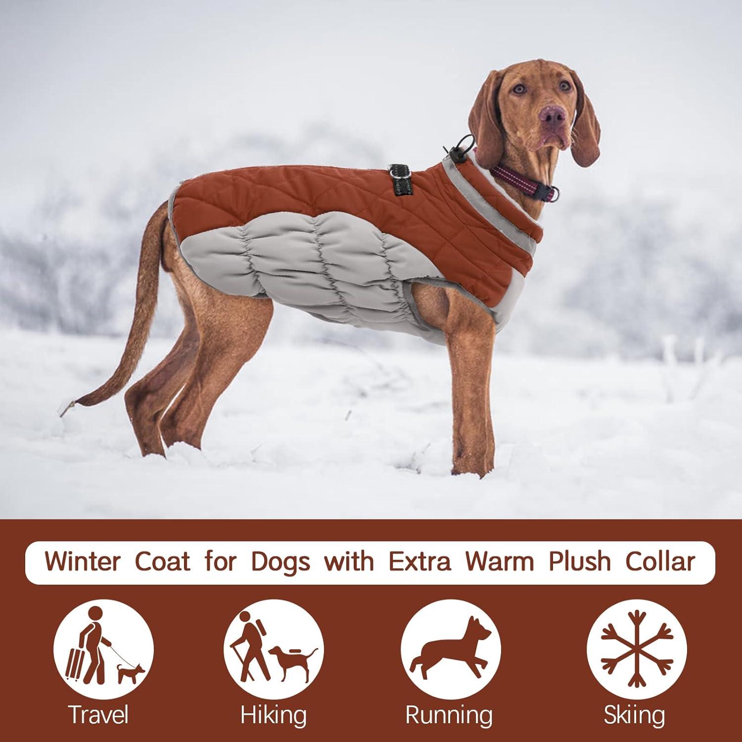 Kuoser Wasserdichter Hundemantel für Kleine - Große Hunde, Winter Warme Jacke mit Fleece-Futter & reflektierenden Details