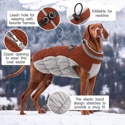 Wasserdichter Hundemantel Winterjacke für kleine bis große Hunde