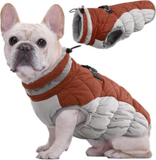 Wasserdichter Hundemantel für Kleine bis Große Hunde Warme Winterjacke