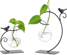 Hydroponic Glasvase Vogel Metallständer Set 2er