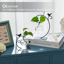 Hydroponic Glas Vase Set 2er, Moderne Blumenvase mit