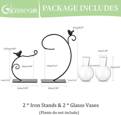 Hydroponic Vasen Set 2er Glasvase mit Vogel Metallständer modern